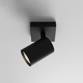 Ascoli Single Spot Light, Adjustable, Black, GU10, IP20