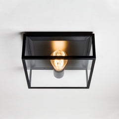Bronte Ceiling, Black with Clear Glass, E27, IP23